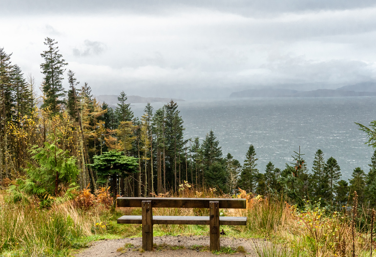 A bench overlooking the ocean and conifer forest 