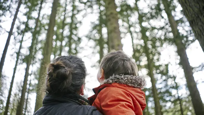 Parent and child looking up at the trees.