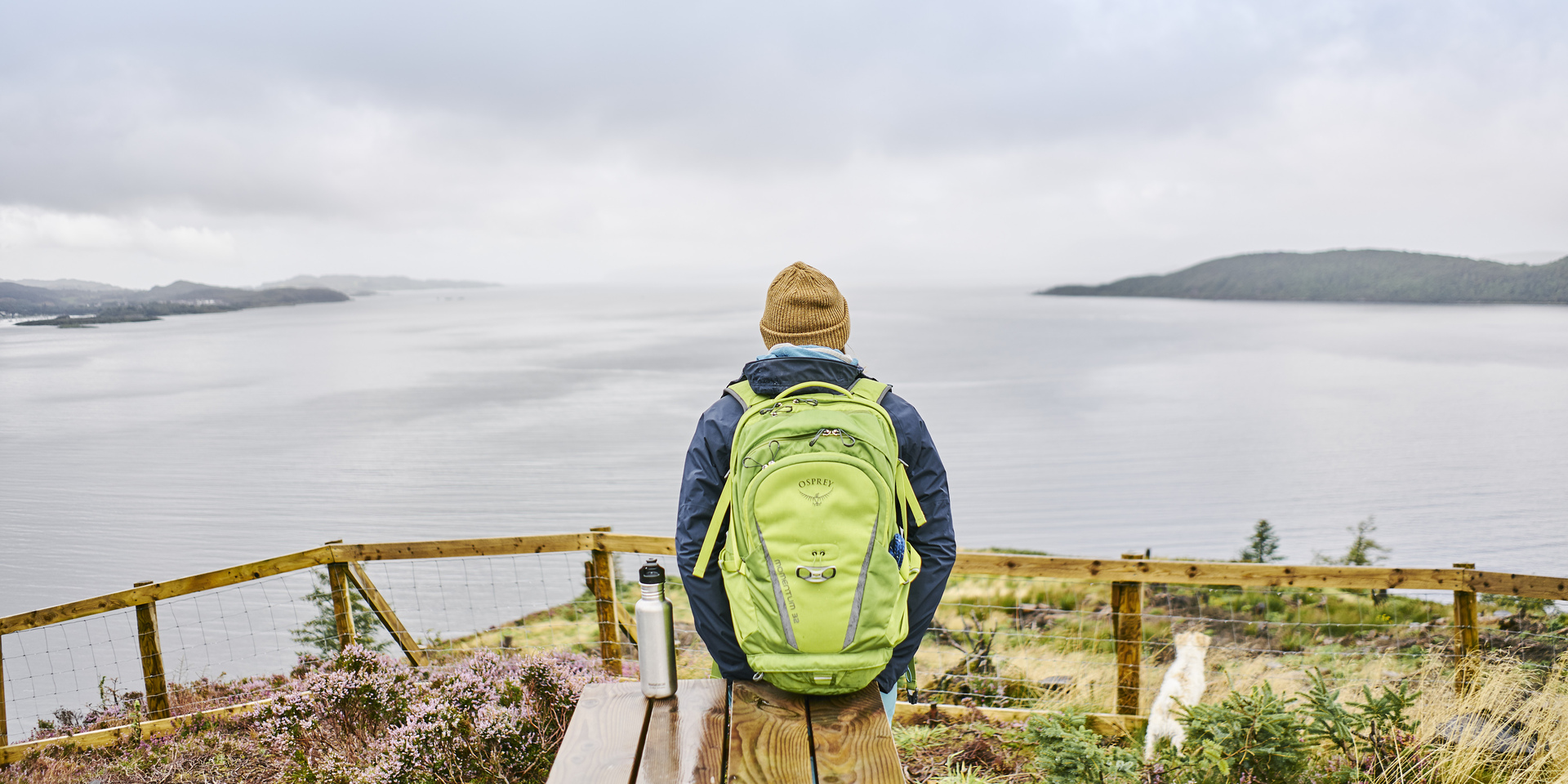Close up of tree bark