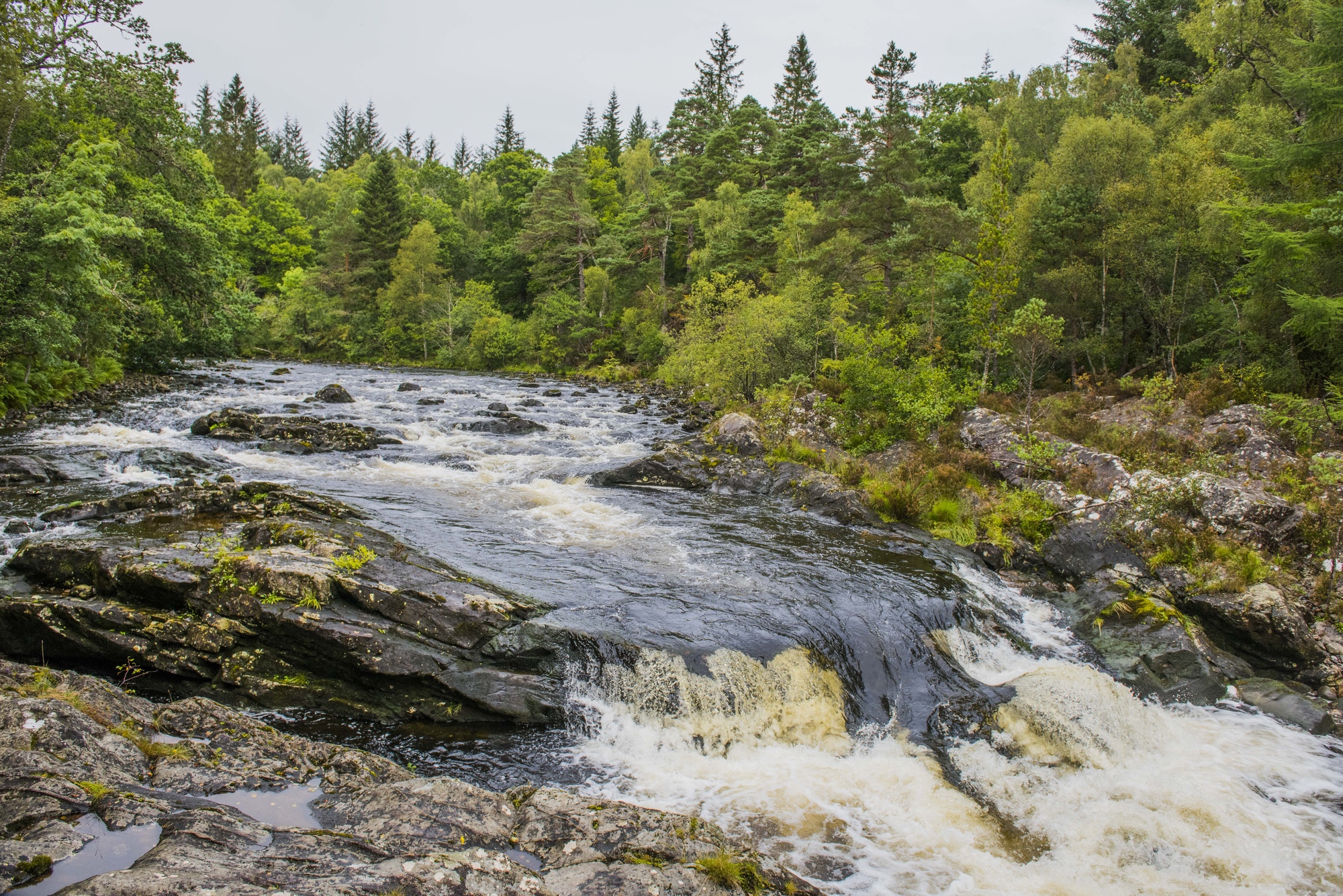  Looking at the rapids, River Garry, Glengarry, near Invergarry