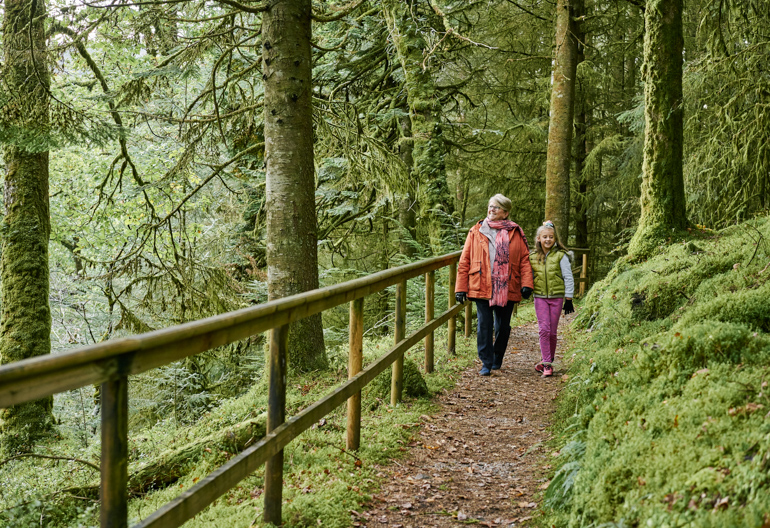 Woman and girl walk along a narrow forest path with fence at one side and green moss and trees all around.