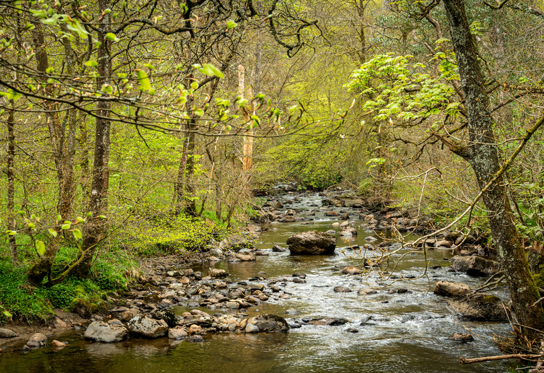 river next to a walking path