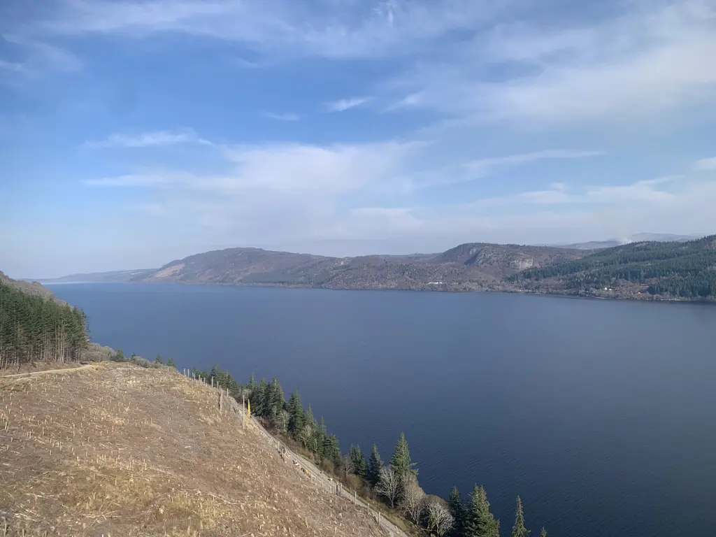 A recently felled hillside overlooking a loch.