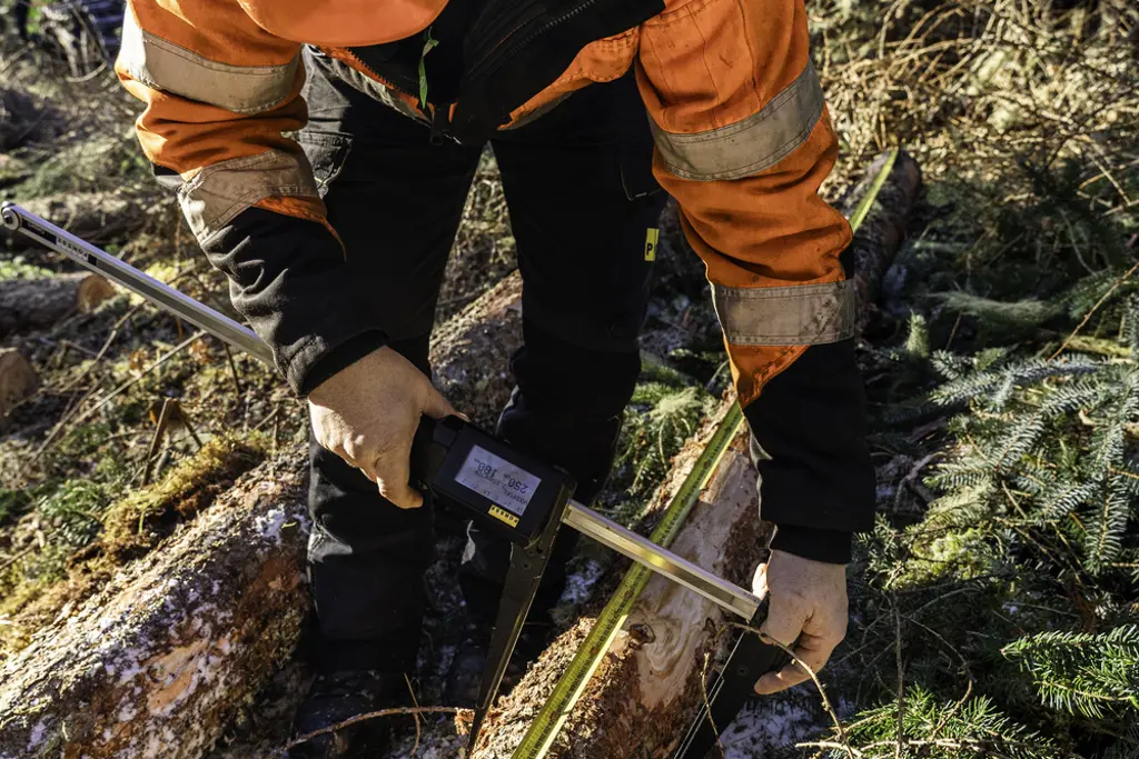 A person in safety gear measuring a felled tree.