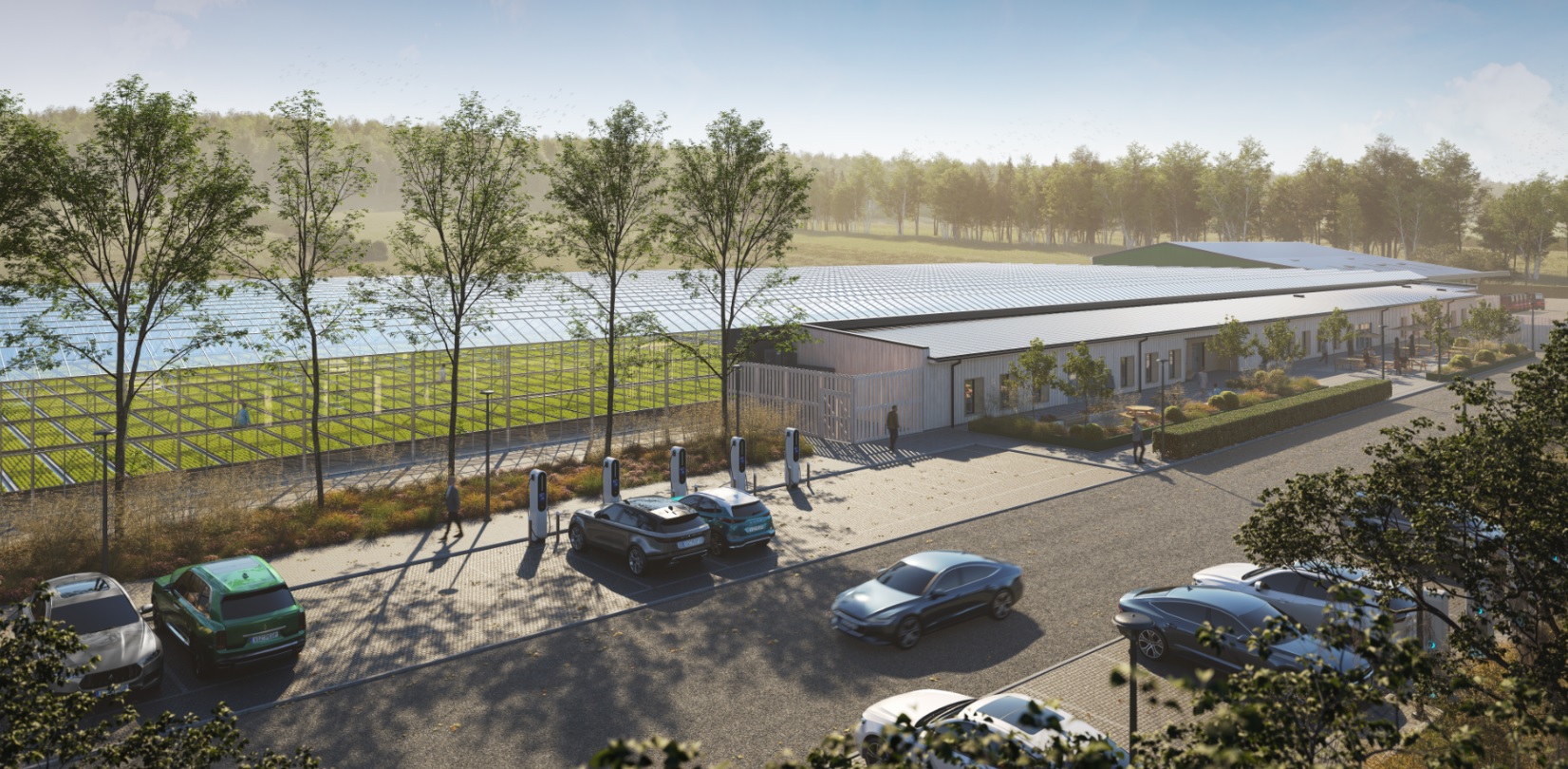 Newton Glasshouse render in summer at our nursery 