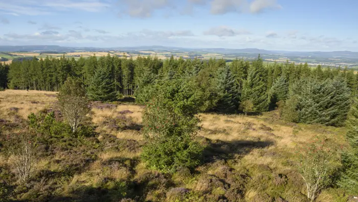 View from Tappie Tower, Kirkhill, Aberdeenshire