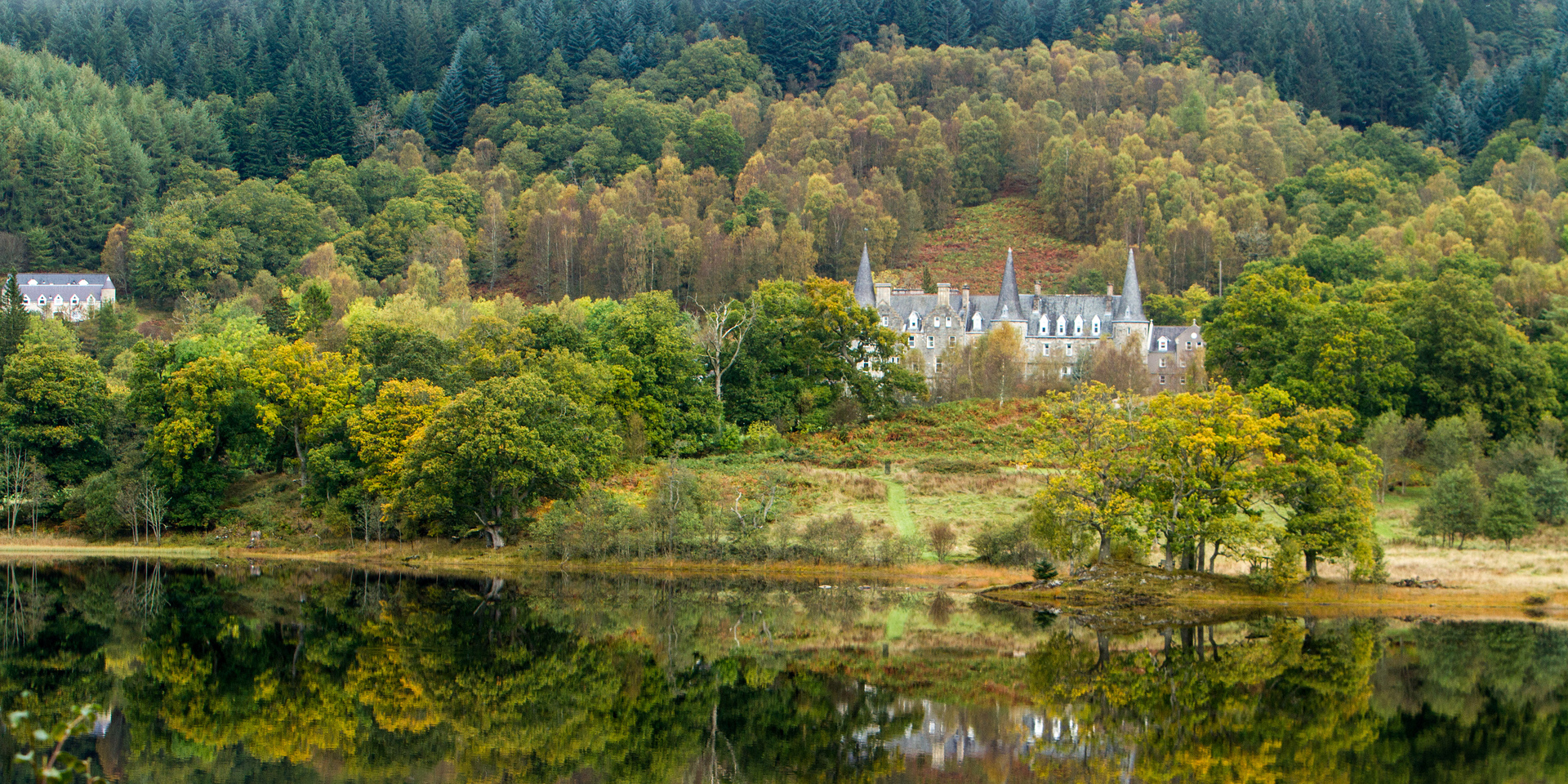 Close up of tree bark