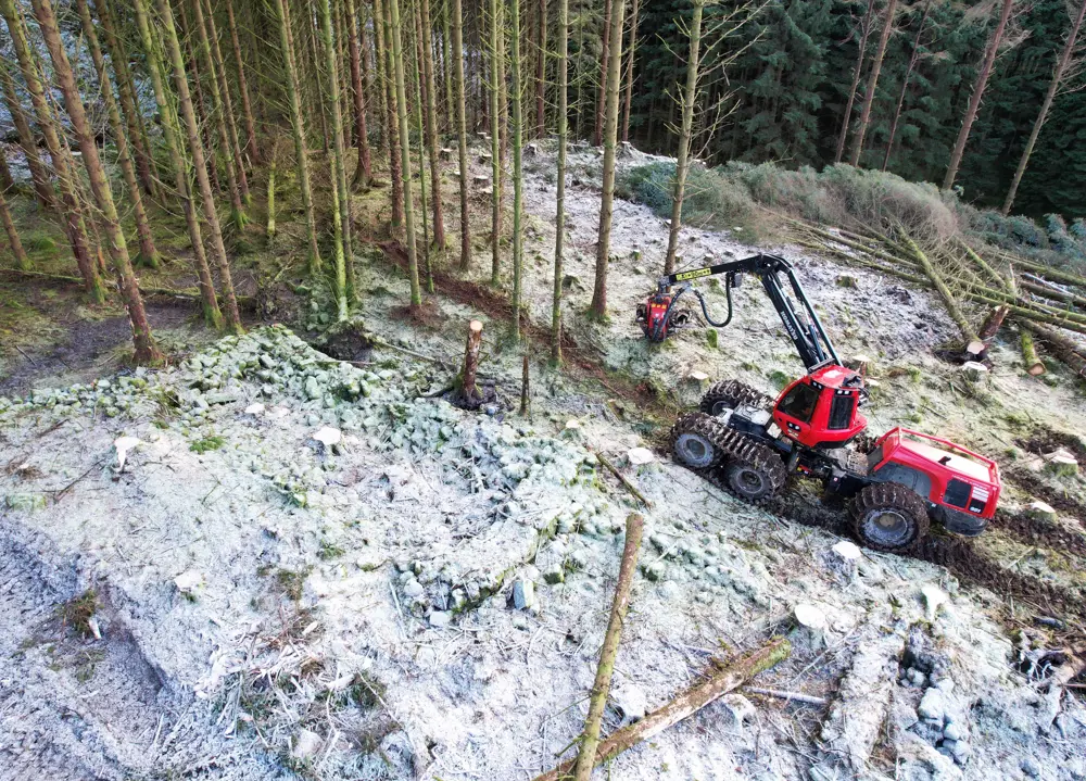 A red harvesting machine removing trees with snow around it