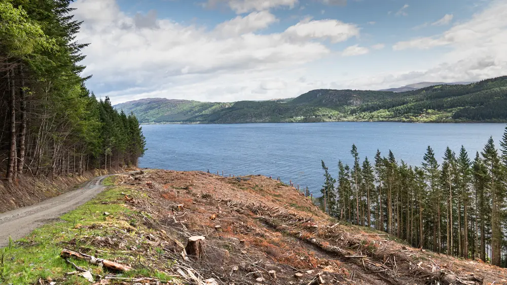 harvesting site over a loch