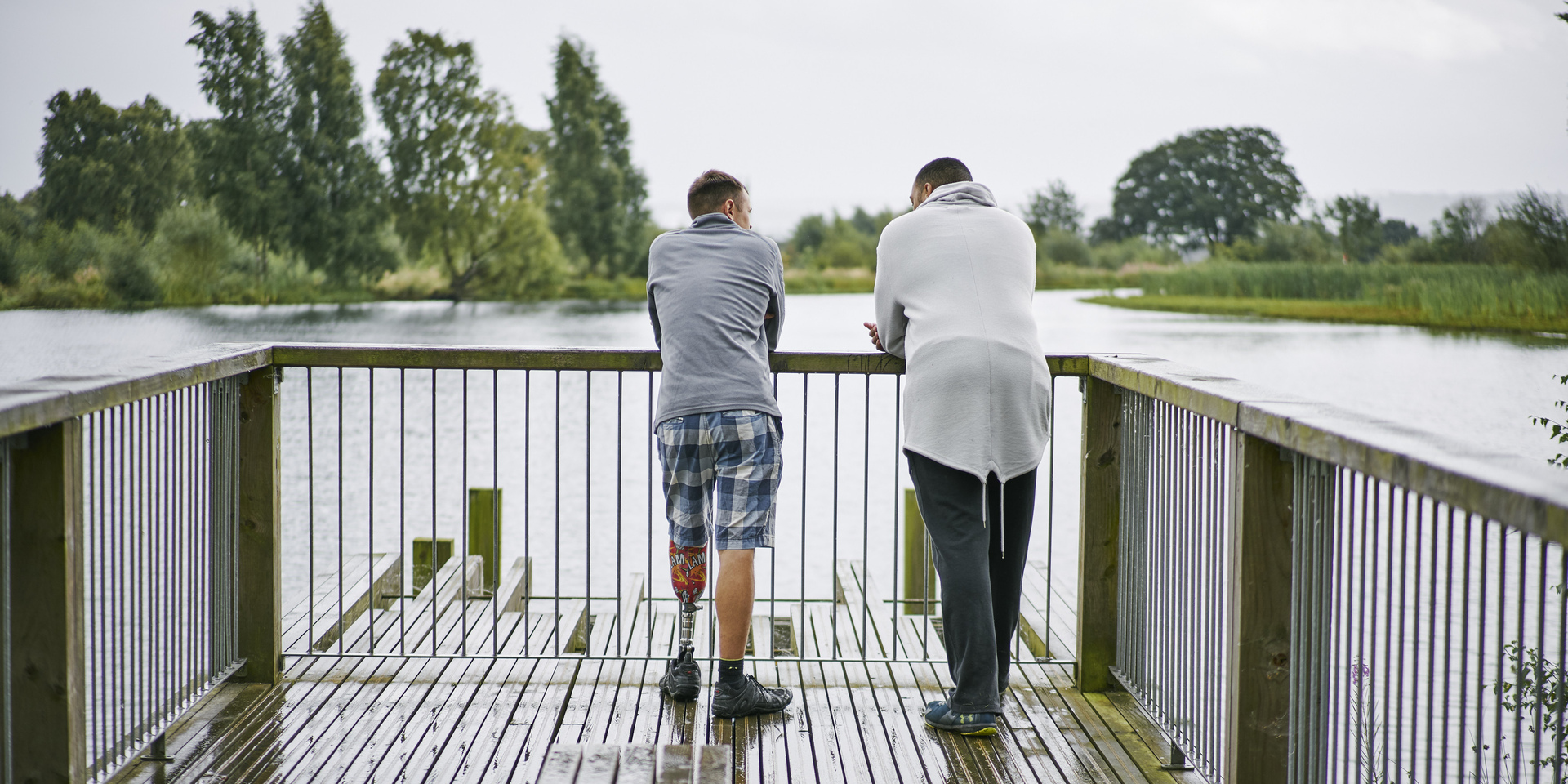 Drooping conifer branch