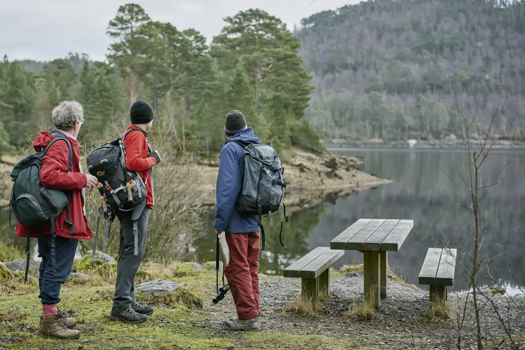 Three people standing next to a loch and picnic table surrounded by forest.