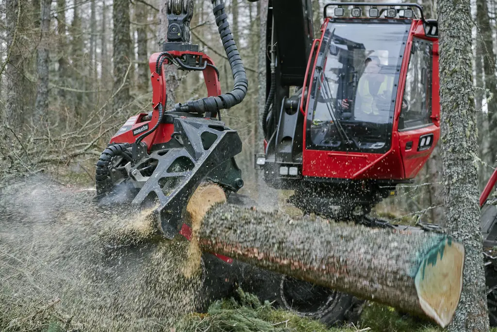 Harvesting machine cutting a log in a forest.