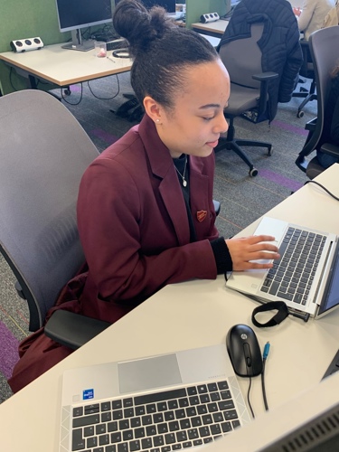 Skye on a laptop in an office.