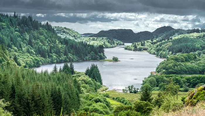  View of a sea loch through hills with trees and ferns