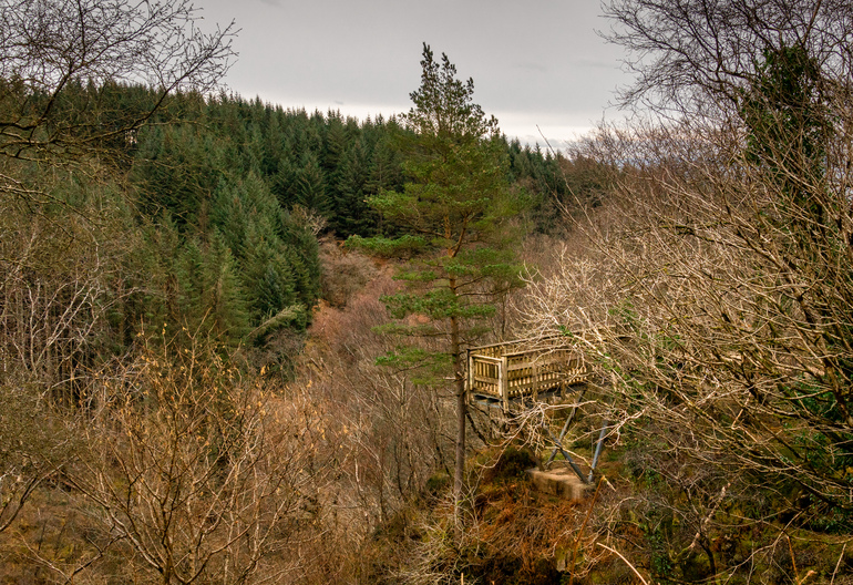 A wooden platform in the trees over a river