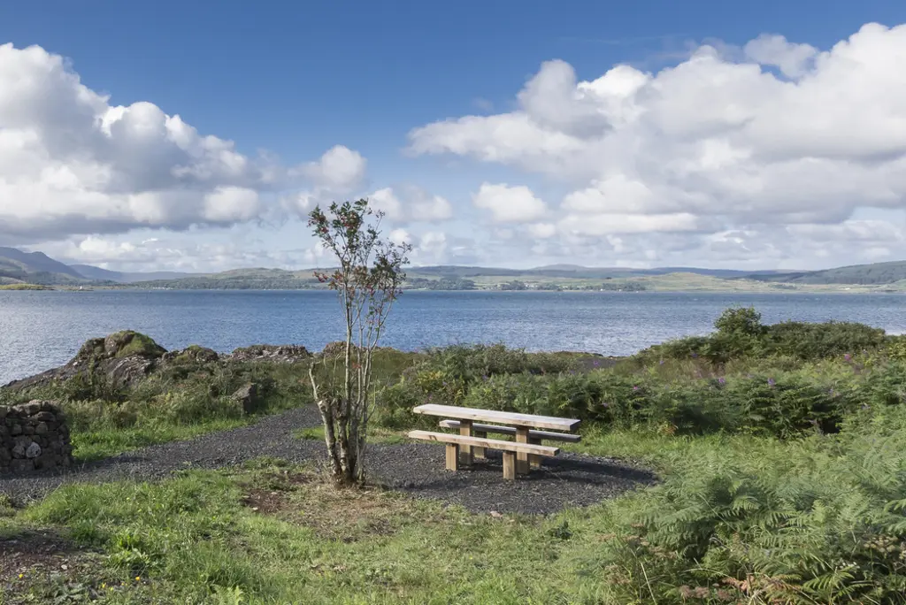A picnic table next to a small tree and rock wall, in the background is water and hills.