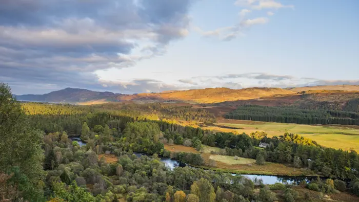 A glen of fields and trees.
