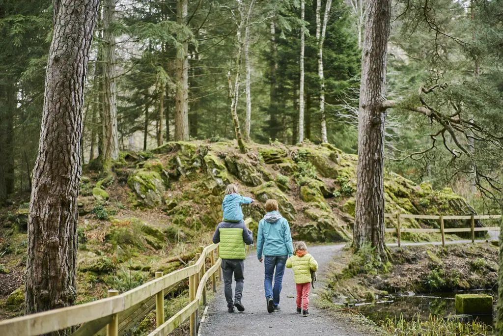 Man in green jacket carrying young girl in blue jacket on his shoulders walks alongside woman in blue jacket holding hands with young girl, on smooth woodland path with forest of tall trees beside, Faskally, near Pitlochry.