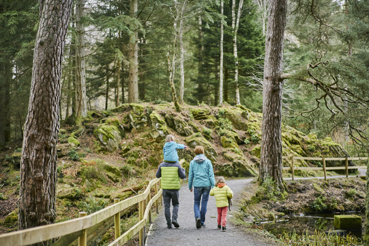 Man in green jacket carrying young girl in blue jacket on his shoulders walks alongside woman in blue jacket holding hands with young girl, on smooth woodland path with forest of tall trees beside, Faskally, near Pitlochry