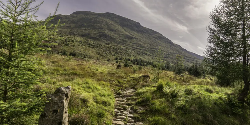 A rocky path up towards a mountain with trees and shrub