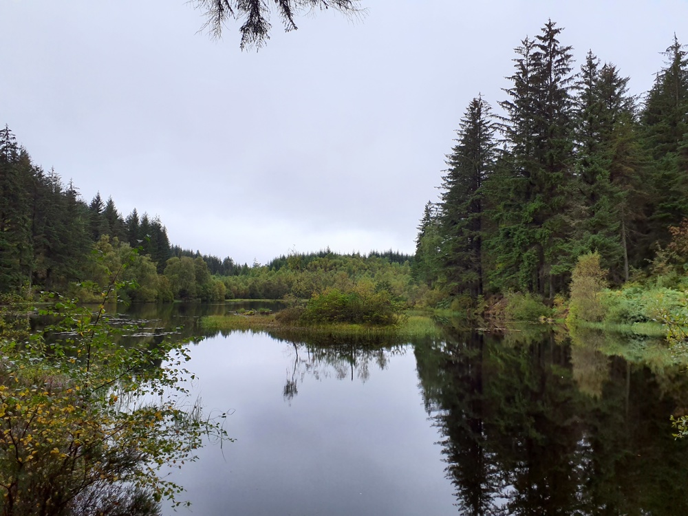 Image of East Loch Ard area