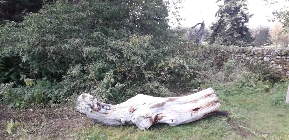 a wooden sculpture on the ground in a forest