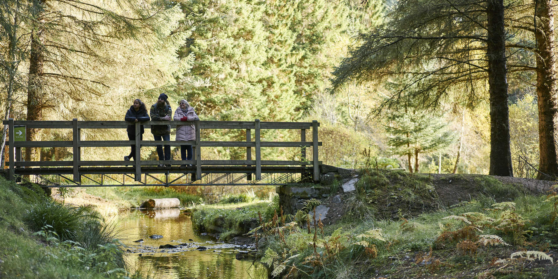Close up of tree bark