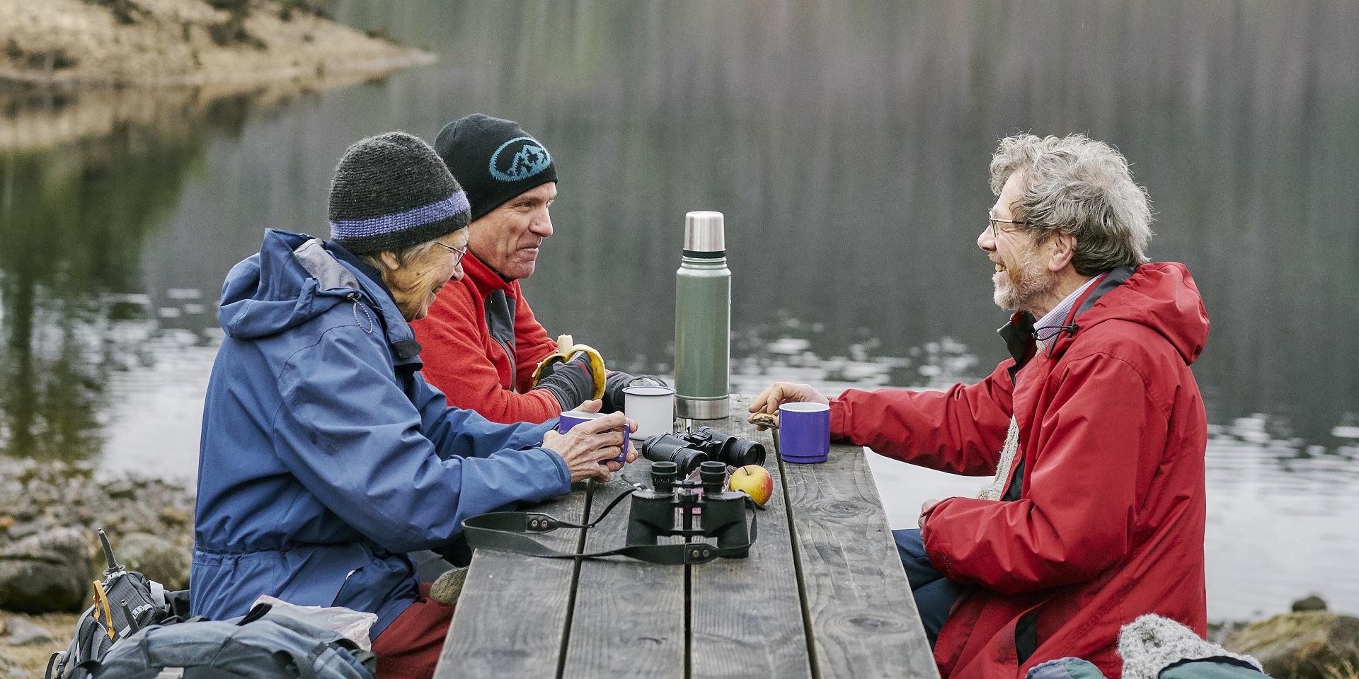 Drooping conifer branch