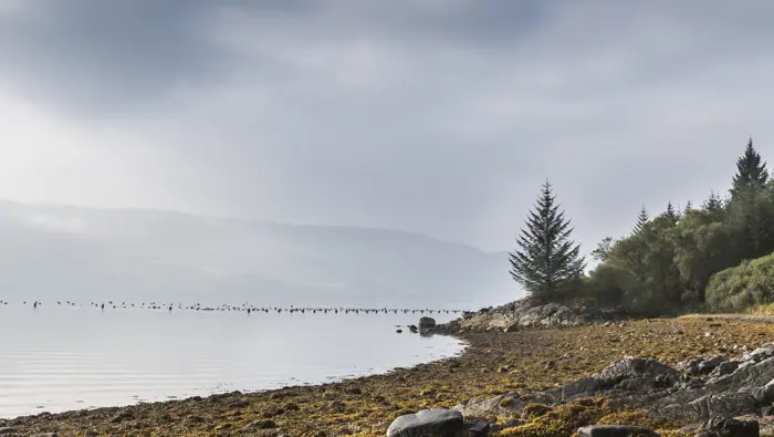 Shores of Loch Fyne at Ardcastle.